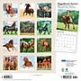 2027 BrownTrout Magnificent Horses 12" x 12" Monthly Wall Calendar (9798330713769)~#|#~sp320870871_sc7