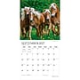 2027 BrownTrout Magnificent Horses 12" x 12" Monthly Wall Calendar (9798330713769)~#|#~sp320870873_sc7