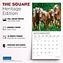 2027 BrownTrout Magnificent Horses 12" x 12" Monthly Wall Calendar (9798330713769)~#|#~sp320870879_sc7