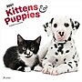 2027 BrownTrout Kittens & Puppies 12" x 12" Monthly Wall Calendar (9798330713738)~#|#~sp320871405_sc7