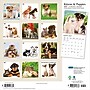 2027 BrownTrout Kittens & Puppies 12" x 12" Monthly Wall Calendar (9798330713738)~#|#~sp320871406_sc7