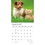 2027 BrownTrout Kittens & Puppies 12" x 12" Monthly Wall Calendar (9798330713738)~#|#~sp320871408_sc7