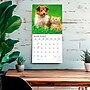2027 BrownTrout Kittens & Puppies 12" x 12" Monthly Wall Calendar (9798330713738)~#|#~sp320871410_sc7