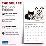 2027 BrownTrout Kittens & Puppies 12" x 12" Monthly Wall Calendar (9798330713738)~#|#~sp320871430_sc7