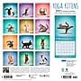 2027 BrownTrout Yoga Kittens 12" x 12" Monthly Wall Calendar (9798330713554)~#|#~sp320874474_sc7