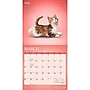 2027 BrownTrout Yoga Kittens 12" x 12" Monthly Wall Calendar (9798330713554)~#|#~sp320874475_sc7
