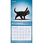 2027 BrownTrout Yoga Kittens 12" x 12" Monthly Wall Calendar (9798330713554)~#|#~sp320874476_sc7