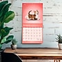 2027 BrownTrout Yoga Kittens 12" x 12" Monthly Wall Calendar (9798330713554)~#|#~sp320874477_sc7