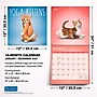 2027 BrownTrout Yoga Kittens 12" x 12" Monthly Wall Calendar (9798330713554)~#|#~sp320874479_sc7