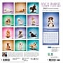 2027 BrownTrout Yoga Puppies 12" x 12" Monthly Wall Calendar (9798330713585)~#|#~sp320874541_sc7