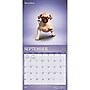 2027 BrownTrout Yoga Puppies 12" x 12" Monthly Wall Calendar (9798330713585)~#|#~sp320874543_sc7
