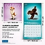 2027 BrownTrout Yoga Puppies 12" x 12" Monthly Wall Calendar (9798330713585)~#|#~sp320874546_sc7