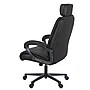 Regency DuraForce Big & Tall Ergonomic Executive Chair, 400 lb. Capacity, Black (DUR001BK)~#|#~sp324321341_sc7