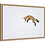 Amanti Art Red Fox in Snow by Deborah Winchester Danita Delimont Framed Canvas Wall Art Print, 23"W x 16"H (A42675339712)~#|#~sp324385587_sc7