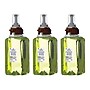 Brighton Professional Foaming Hand Soap Refill for BP12 Dispenser, Citrus Ginger Scent, 1250 ml., 3/Carton (21891)~#|#~sp36618738_sc7