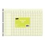 Staples Analysis Pads, 13‑Column Ledger, Green Eye‑Ease Paper, Side‑Punched Accounting Pad, 11" x 16.375", 50 Sheets, 2‑Pack~#|#~sp37727396_sc7
