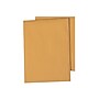Quality Park Self Seal Kraft Catalog Envelopes, 10" x 15", Brown, 250/Carton (QUA43862)~#|#~sp39612775_sc7