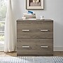 Exeter Office Pro 2-Drawer Lateral File Cabinet, Letter/Legal, Salinas Oak, 30"W (9546333COM)~#|#~sp40075700_sc7
