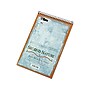 TOPS Second Nature Steno Pad, 6" x 9", Gregg Ruled, White, 70 Sheets/Pad (TOP74690)~#|#~sp40890528_sc7