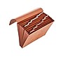 Staples Letha-Tone Expanding File, Blank Index, Letter Size, 13-Pocket, Brown (20036S)~#|#~sp41686883_sc7