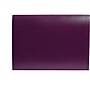 Staples Plastic Expanding File, Letter Size, 7-Pocket, Assorted Colors (51835)~#|#~sp41688229_sc7