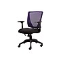 Staples Vexa Mesh Back Fabric Computer and Desk Chair, Purple (28806)~#|#~sp41812459_sc7