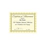 Southworth Premium Spiro Design Certificates, 8.5" x 11", Ivory/Gold, 15/Pack (CTP2V)~#|#~sp42115274_sc7