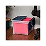 Staples File Box with Wing-Lid, Letter/Legal Size, Navy/Clear (139552)~#|#~sp42126145_sc7