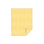 Southworth Parchment Specialty  8.5" x 11" Multipurpose Paper, 24 lbs., Gold, 100/Box (P994CK)~#|#~sp42127317_sc7
