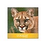 Domtar Cougar Digital 10% Recycled 8.5" x 11" Laser Paper, 70 lbs., 98 Brightness, 500/Ream (2826)~#|#~sp42184118_sc7