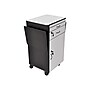 Luxor 4-Shelf Wood Mobile File Cart with Lockable Wheels, Black/Gray (WPSDD3)~#|#~sp43832337_sc7