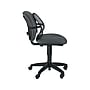 Fellowes Office Suites Mesh Back Support, Black (8036501)~#|#~sp44342604_sc7