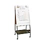 Best-Rite Wheasel Dry/Wet Erase Easel, 65", Steel (770)~#|#~sp44845104_sc7