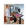 Ergotron WorkFit-D 48"W Adjustable Desk, Steel/Laminate (24-271-927)~#|#~sp45378861_sc7