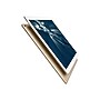 Apple iPad Pro Wi-Fi MPL12LL/A 12.9" iOS Tablet, A10X Fusion~#|#~sp45442438_sc7