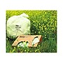 BioTuf Compostable 55-60 Gallon Trash Bags, 38x58, 0.9 Mil, Green, 20 Bags/Roll, 5 Rolls (Y7658TE R01)~#|#~sp46038414_sc7