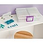 IRIS® Extra Large 4" x 6" Photo and Craft Keeper, Clear, 2 Pack (585865)~#|#~sp4619862_sc7