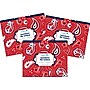 Barker Creek Bandana File Folder, 1/3-Cut Tab, Letter Size, Multicolor, 36/Set (BC3916)~#|#~sp47423229_sc7