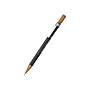 Pentel Sharplet-2 Mechanical Pencil, 0.9mm, #2 Medium Lead (A129E)~#|#~sp47572682_sc7