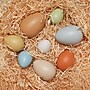 Yellow Door Size-Sorting Eggs, Set of 8 (YUS1088)~#|#~sp47702523_sc7