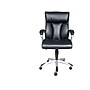 Sealy Burano Leather Executive Chair, Black (9771G)~#|#~sp48115727_sc7
