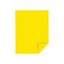 Neenah Paper Exact Brights Multipurpose Paper, 20 lbs., 8.5" x 11", Bright Yellow, 500 Sheets/Ream (26281)~#|#~sp49507641_sc7