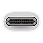 Apple USB-C to USB-A Adapter, Male to Female, White (MJ1M2AM/A)~#|#~sp50985782_sc7