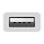 Apple USB-C to USB-A Adapter, Male to Female, White (MJ1M2AM/A)~#|#~sp50985783_sc7