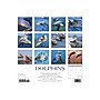 2020 Willow Creek 12" x 12" Wall Calendar, Sea & Marine Life Dolphins, Multicolor (06191)~#|#~sp59511256_sc7