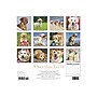 2020 Willow Creek 12" x 12" Wall Calendar, What Goldens Teach Us, Multicolor (08218)~#|#~sp59580608_sc7