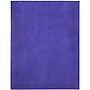 JAM Paper Tear-Proof Tyvek Open End Catalog Envelopes, with Peel & Seal Closure, 10 x 13, Blue, 25/Pack (V021377)~#|#~sp61031282_sc7