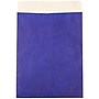 JAM Paper Tear-Proof Tyvek Open End Catalog Envelopes, with Peel & Seal Closure, 10 x 13, Blue, 25/Pack (V021377)~#|#~sp61031317_sc7