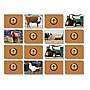Stages Learning Materials Photographic Memory Matching Game, On the Farm, Grades PreK+ (SLM224)~#|#~sp64730634_sc7