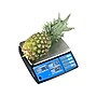 Brecknell PC3060 Digital Scale, Blue/Black, 60 Lbs. Capacity~#|#~sp65822493_sc7